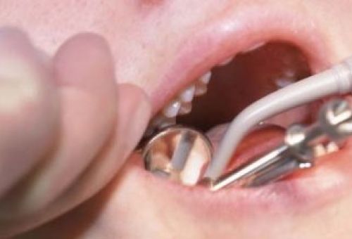 la rioja hides la rioja hides