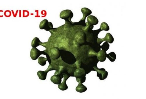 COVID 19 HIDES COVID 19 HIDES