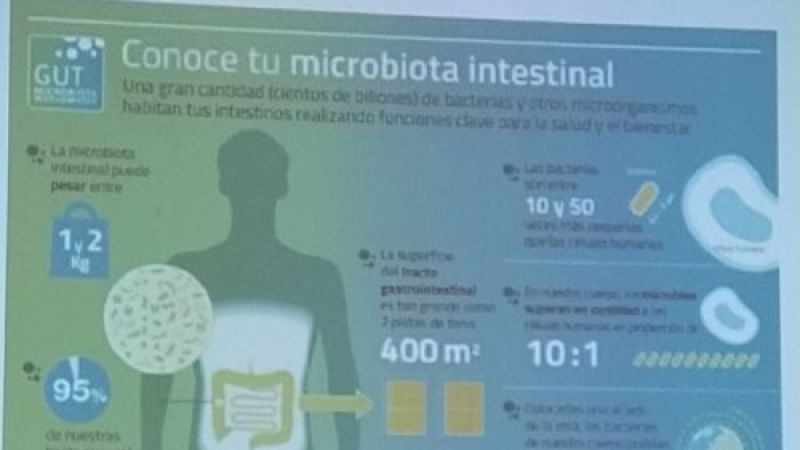 La microbiota. Repercusión sobre la salud y la enfermedad.
